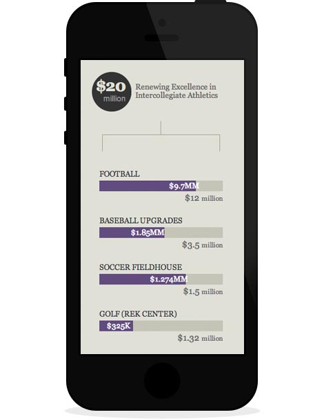 Because Furman Matters Campaign Progress mobile